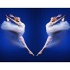 Ballet Artistic Photos_1